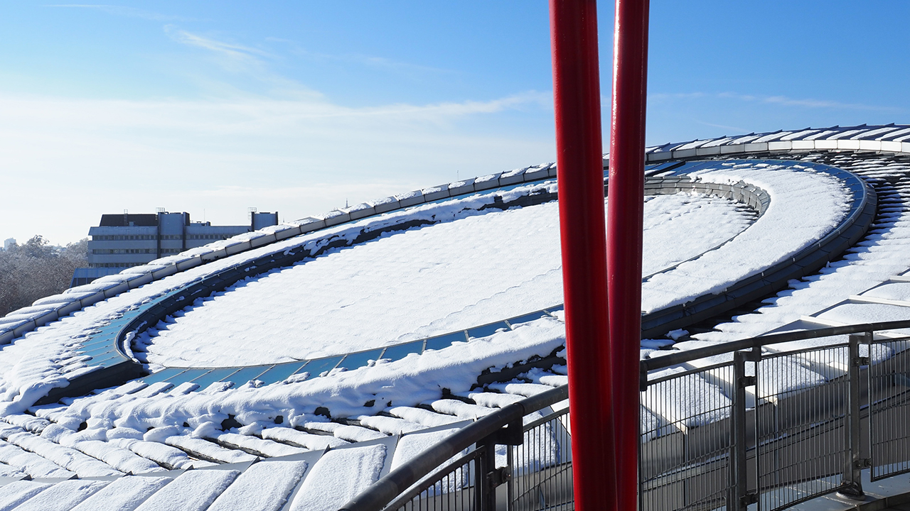 Roof of the Human Rights building under the snow