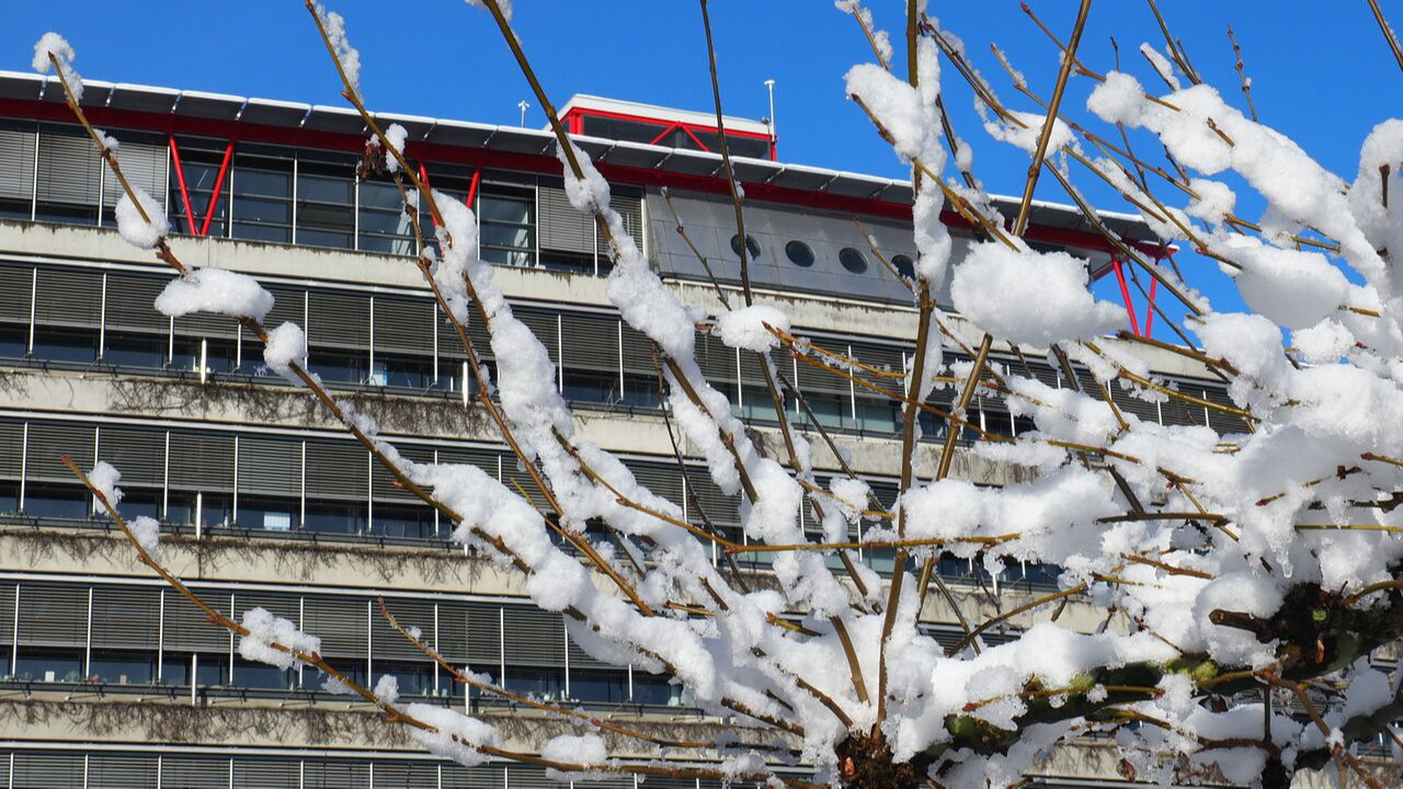 Right wing of the Human Rights building (detail) in winter